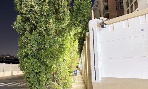 PHOTO-2026-03-08-23-01-35