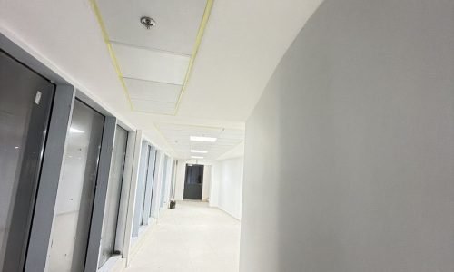 PHOTO-2026-03-08-23-01-37 2