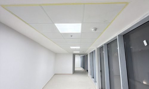 PHOTO-2026-03-08-23-01-38 2