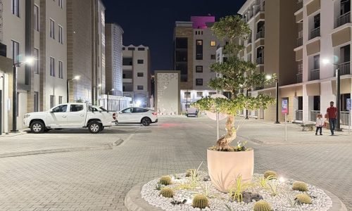 PHOTO-2026-03-08-23-01-44