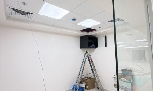 PHOTO-2026-03-08-23-01-49