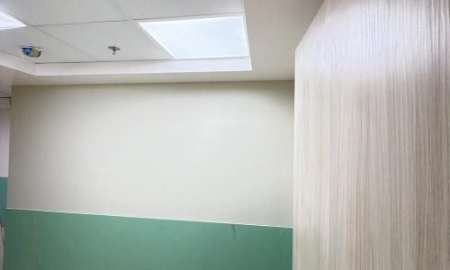 PHOTO-2026-03-08-23-01-50 2