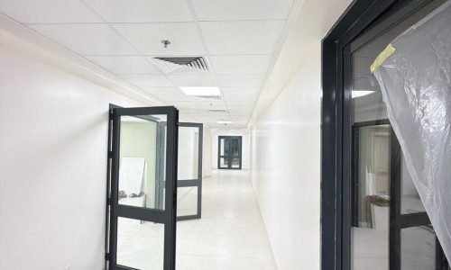 PHOTO-2026-03-08-23-01-50