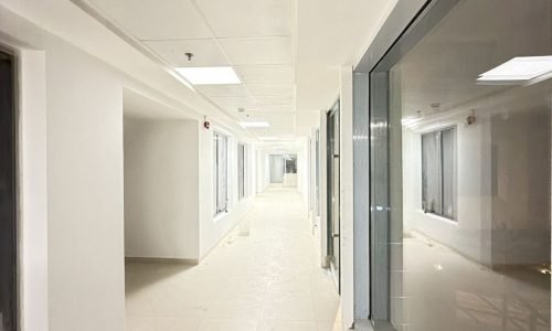 PHOTO-2026-03-08-23-01-58 2