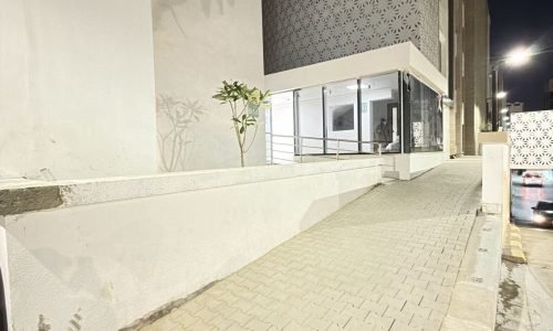 PHOTO-2026-03-08-23-01-59