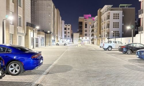 PHOTO-2026-03-08-23-02-00 2